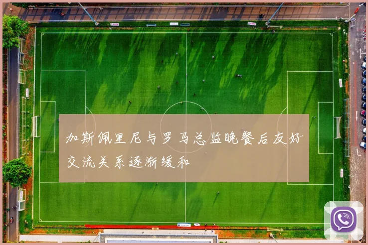 加斯佩里尼与罗马总监晚餐后友好交流关系逐渐缓和