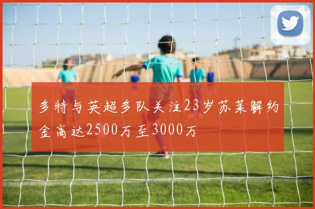 多特与英超多队关注23岁苏莱解约金高达2500万至3000万